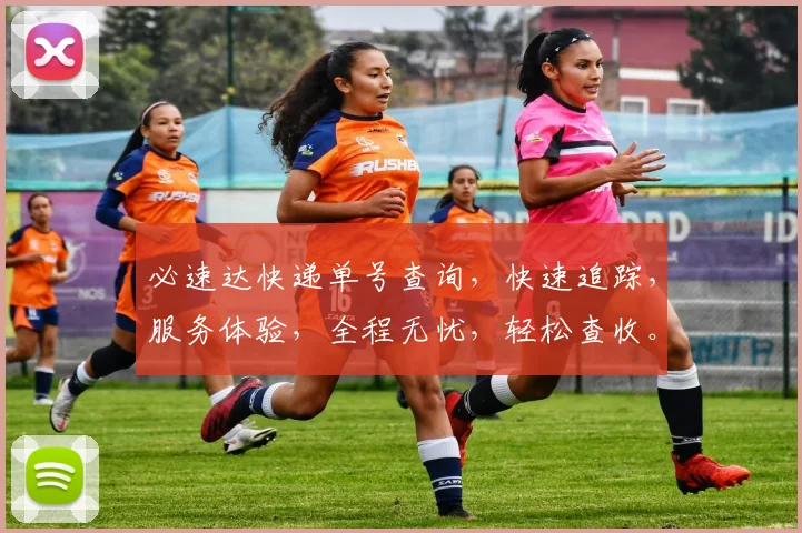 必速达快递单号查询，快速追踪，服务体验，全程无忧，轻松查收。
