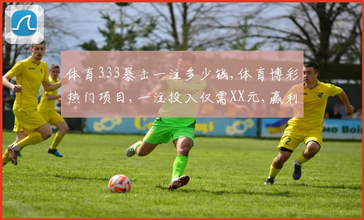体育333暴击一注多少钱,体育博彩热门项目,一注投入仅需XX元,赢利翻倍