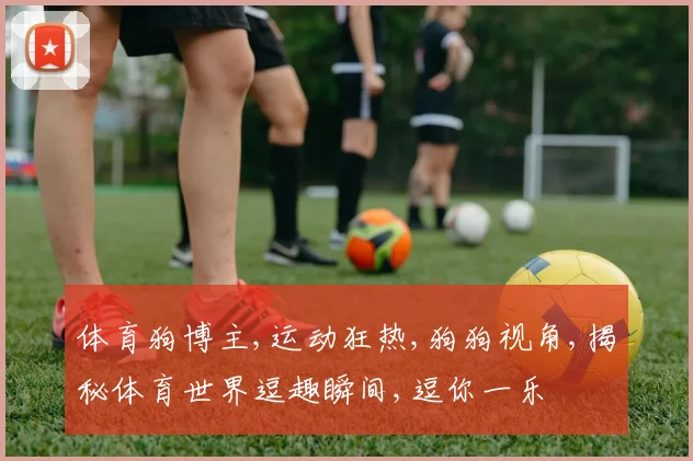 体育狗博主,运动狂热,狗狗视角,揭秘体育世界逗趣瞬间,逗你一乐